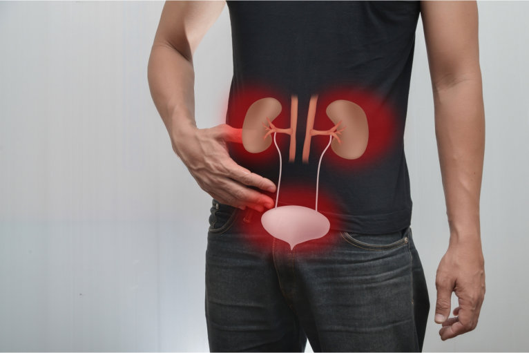 Learn How to Care for Your Kidney This National Kidney Month